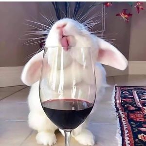 Meet your Posher, Maria jose